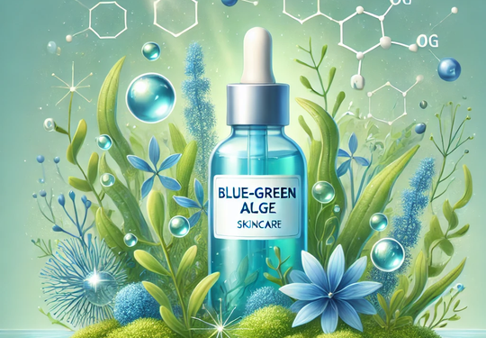 Bright Lab Consultancy