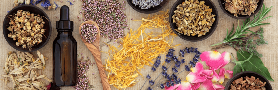 Bright Lab Consultancy